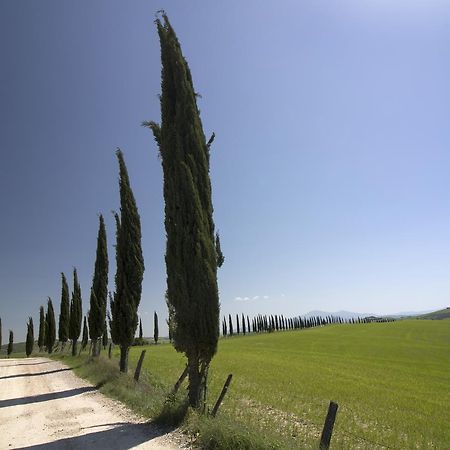 Baldovino Di Monte Bed & Breakfast Monte San Savino Exterior photo