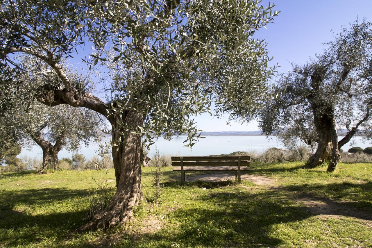Baldovino Di Monte Bed & Breakfast Monte San Savino Exterior photo